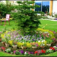 خدمات باغبانی