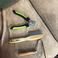 لواز سگ و گربه