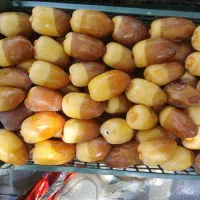 بخش ارم روستایی رود فاریاب