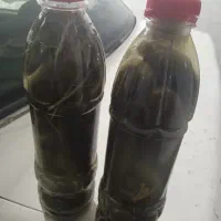 خیار شور