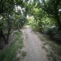 600-متر-باغ-چهار-دیواری-شهریار