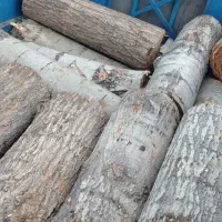خرید درخت و چوب بام با قیمت بالا و هرسکاری