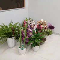 استخدام نظافت کار و تمیز کار خانم در رستوران