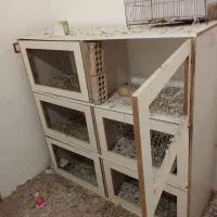 قفسه بندی کبوتر