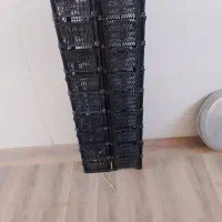 سبد