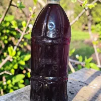 آب زرشک طبیعی