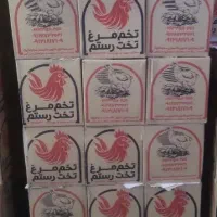 خودرو پخش با راننده