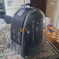 کوله پت