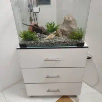 اکواریوم شیشه خم شرکتی