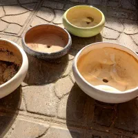 گلدان چینی