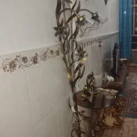 آباژور نو نو