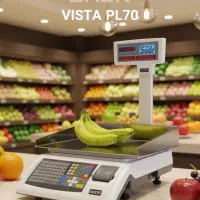 جدیترین ترازوهای رادین و توزین صدر و محک