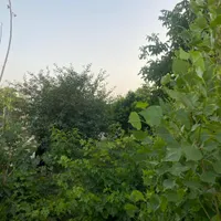 باغچه شهرکی سند دار باغی|فروش زمین و ملک کلنگی|تهران, کریم‌آباد|دیوار