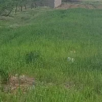 زمین لاچوان متراژ ۱۷۰