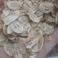 گلپر کوهی،تازه تازه درشت با خواص بی نظیر