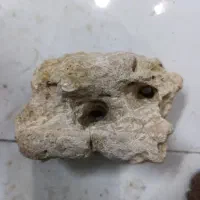 سنگ راف کلکسیونی