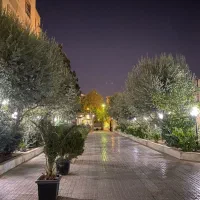 ۶۷ متر تک خواب کوی بیمه