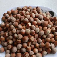 فندق درجه یک
