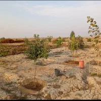 فروش فوری یک قطعه زمین باغی