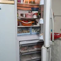 یخچال در حدنو