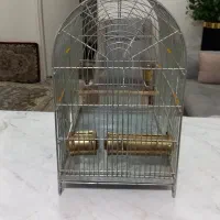 قفس