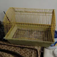 قفس