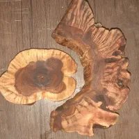 چوب کنده انگور