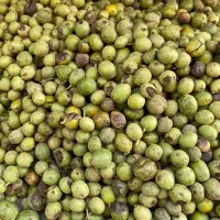 گردوسبز پوست کاغذی تویسرکان