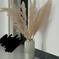 گل پامپاس با گلدان