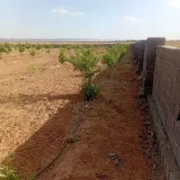 باغ 500متر مامونیه بر اتوبان ساوه