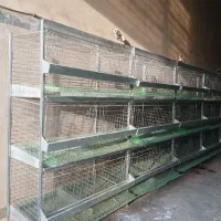 قفس جوجه قفس مرغ تخمگذار و زینتی پرآور