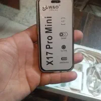 17promax mini