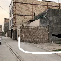 کشف-شمشاد-صدمترزمین-با-سندوپروانه