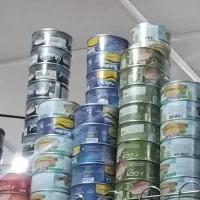 تن ماهی