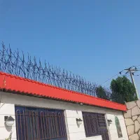 حفاظ روی دیوار. حفاظ پنجره. شاخ گوزنی. بوته خاری