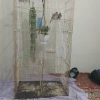 قفس بزرگ مخصوص جوجه کشی قیمت مناسب