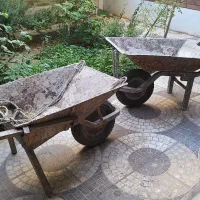 فرغون