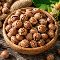فندق خشک خندان درجه یک شمال