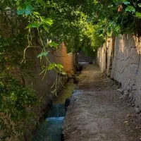 طبیعت گردی و پیاده روی