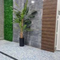 سریدار زن مرد بدون فرزند حهت هتا