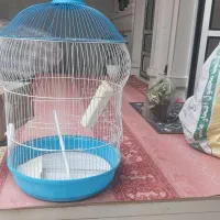 قفس درحد نو