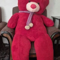 خرس دو متری