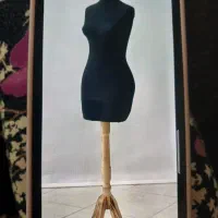 تعدادی مانکن
