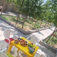 میز و صندلی
