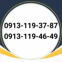 0913-119-4649