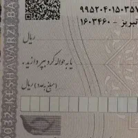 مشاوره امور چک صیادی