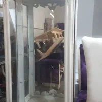 بوفه