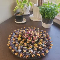 سفارش انواع حلوا و خرمای مجالس