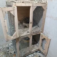جفت کن چوبی