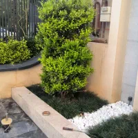 طراحی فضای سبز،روفگاردن،باغچه،سیستم آبیاری باغ ویل